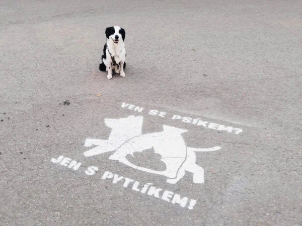 Ven se psíkem Jen s pytlíkem Praha 3